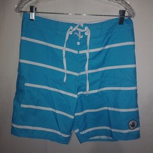 Body Glove 29 Mens Board Shorts in Turquoise